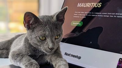 Vladimir Jiji, Frontend Developer